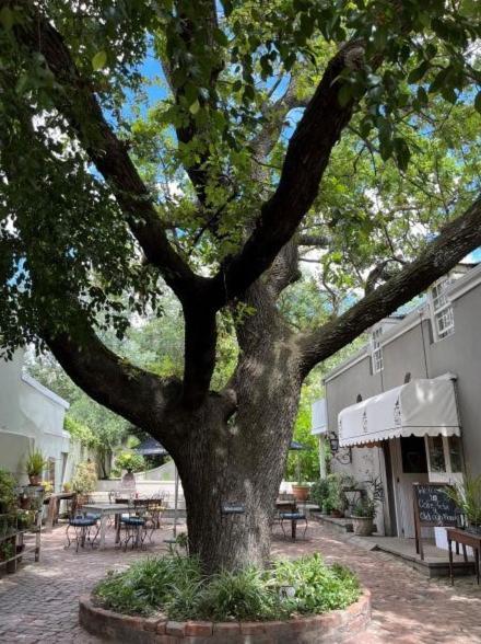 Cafe Felix & Old Oak Manor Hotel Riebeek-Kasteel Ngoại thất bức ảnh