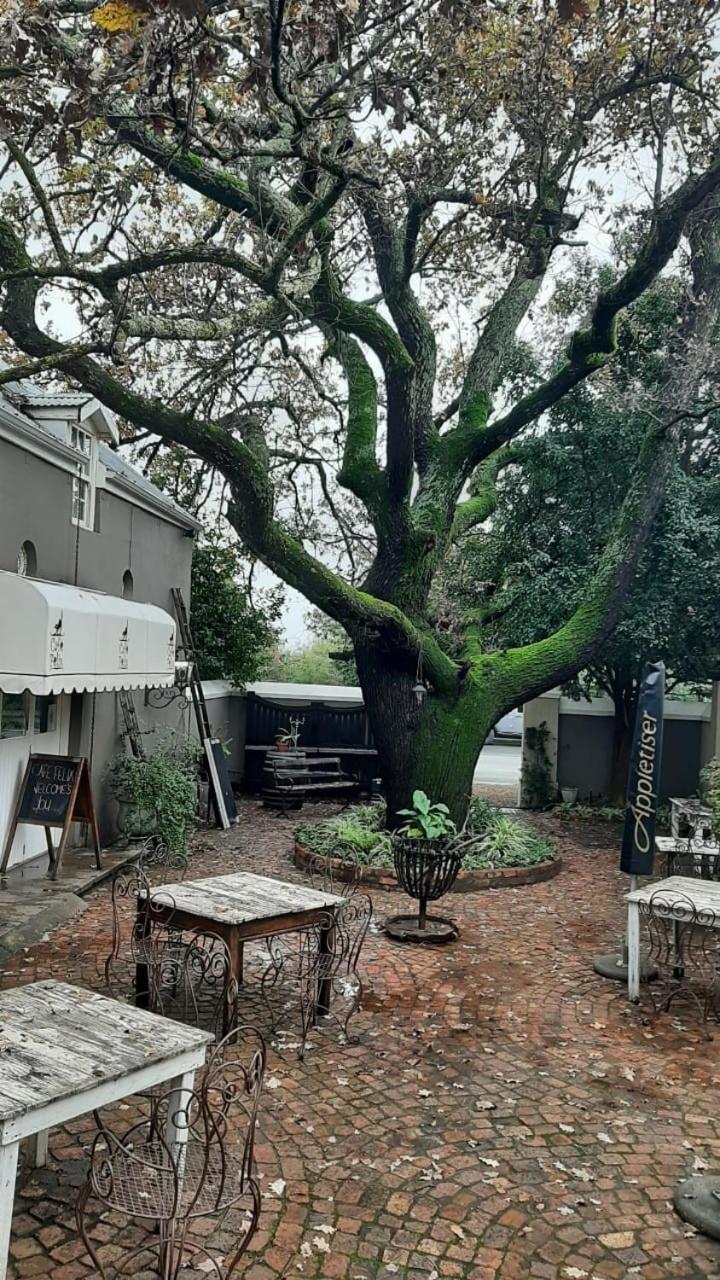 Cafe Felix & Old Oak Manor Hotel Riebeek-Kasteel Ngoại thất bức ảnh
